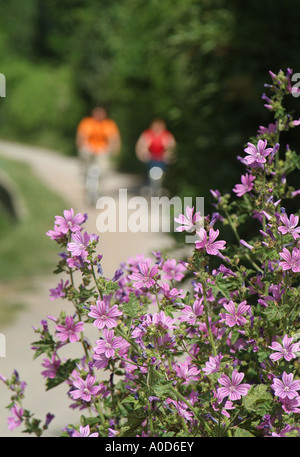 I ciclisti su strada alzaia del Canale Foto Stock