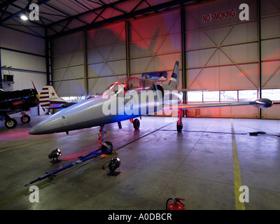 L39 Albatros aereo jet parcheggiati in hangar sull'aeroporto di Eindhoven Paesi Bassi Foto Stock