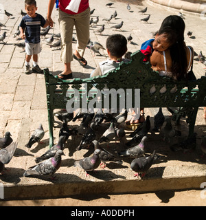 Piccioni circondano una famiglia in Plaza Republica Mazatlan Sinaloa Messico Foto Stock