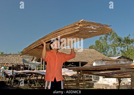 Il Vietnam del Sud del Delta del Mekong Cai Be cibo uomo che porta i fogli di riso al vapore a base di noodle sul rack di vimini per essere essiccato in sun Foto Stock