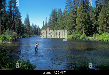 Pescatore a mosca sul fiume Metolius Deschutes National Forest Cascade Mountains Oregon centrale Foto Stock