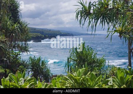 Hana coast vista da Kahanu nazionale Giardino Tropicale Giardino botanico di Maui Hawaii Foto Stock