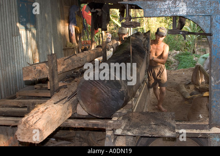 Il Vietnam del Sud del Delta del Mekong Cu Lao Ongs ho Tiger isolotto di segatura registro di mango sulla segatrice a nastro per uso edile Foto Stock