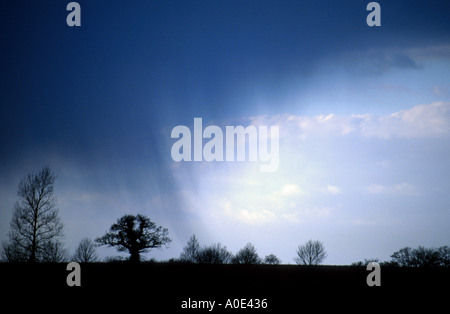 Doccia a pioggia ampi attraverso sagome di alberi coltishall NORFOLK REGNO UNITO Foto Stock