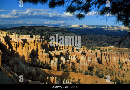 Bryce Canyon USA Foto Stock