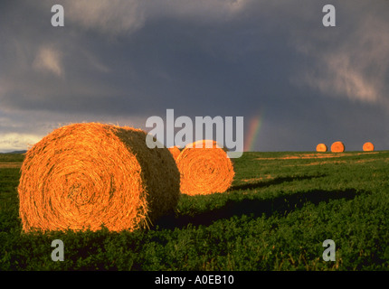 Balle di fieno seduta in campo con arcobaleno e nuvole di tempesta in background Gallatin Valley vicino a Bozeman Montana Foto Stock