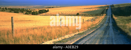 Panoramic view of country road through harvested wheat fields Gallatin County near Bozeman Montana Foto Stock