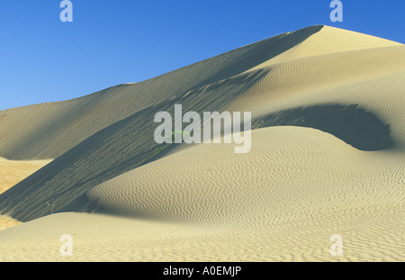 Dune di sabbia del deserto del Venezuela di Coro Foto Stock