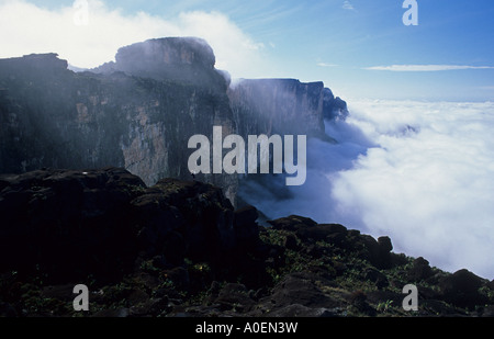 Escursionista sul bordo del Vertice di Roraima Venezuela Foto Stock