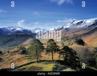 Borrowdale Lake District Cumbria Inghilterra England Foto Stock