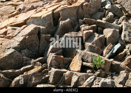 Litorale di frantumazione di rocce con crepe visibili. Foto Stock