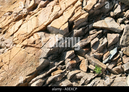 Litorale di frantumazione di rocce con crepe visibili. Foto Stock