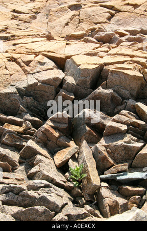 Litorale di frantumazione di rocce con crepe visibili. Foto Stock