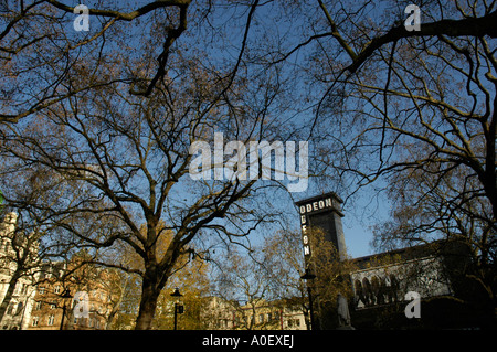 Leicester Square e il cinema Odeon visto attraverso gli alberi Londra Inghilterra Foto Stock