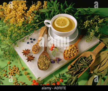 Erbe medicinali, spezie e infusione Foto Stock