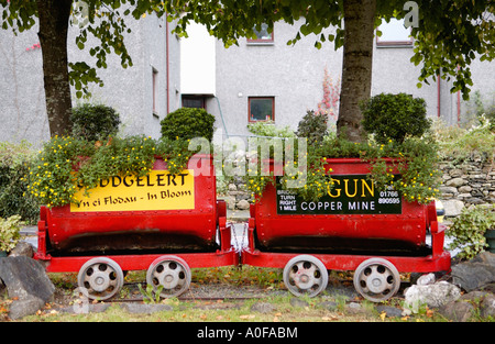 Display floreali per Sygun miniera di rame in Beddgelert Gwynedd North Wales UK Foto Stock