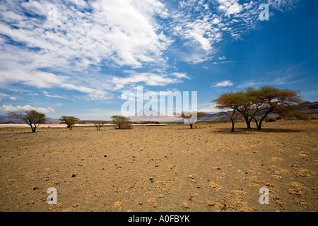 " Ol Doinyo Lengai (montagna di Dio) in una distanza visto dal Lago Natron, Tanzania Africa Foto Stock