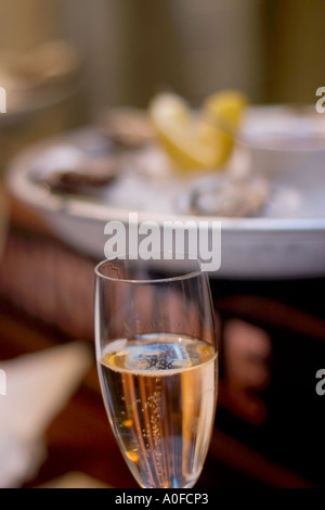 Bicchiere di champagne con una piastra di ostriche su ghiaccio Foto Stock