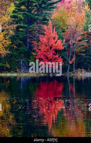 Vicino lago di Paul Smith s College di saranac tra route 86 e 30 ny Foto Stock