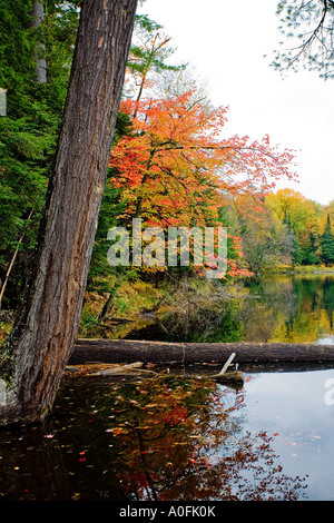 Vicino lago di Paul Smith s College di saranac tra route 86 e 30 ny Foto Stock