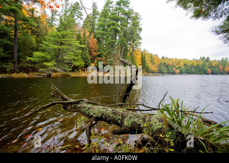 Vicino lago di Paul Smith s College di saranac tra route 86 e 30 ny Foto Stock