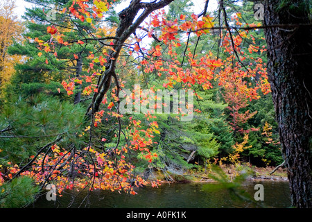 Vicino lago di Paul Smith s College di saranac tra route 86 e 30 ny Foto Stock