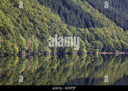 La vista sul fiume della Kermeter vicino al lago superior in Rurberg, Rursee, in Germania, in Renania settentrionale-Vestfalia, Eifel NP Foto Stock