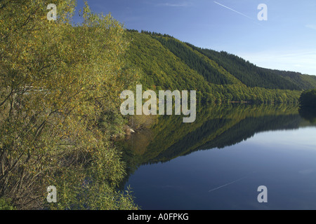 La vista sul fiume nella parte inferiore della Kermeter vicino al lago superior in Rurberg, Rursee, in Germania, in Renania settentrionale-Vestfalia, E Foto Stock