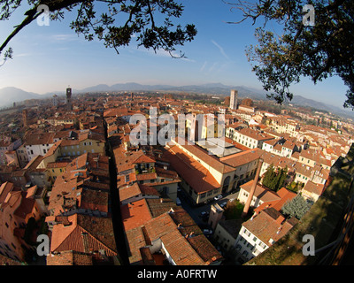 Vista su Lucca dalla cima della Torre torre Guinigi toscana italia fisheye Foto Stock