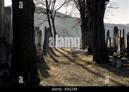 Vecchio Cimitero giudaica vicino a Piatra Neamt Moldavia lato orientale della Romania Romania Europa dell Est Europa Foto Stock