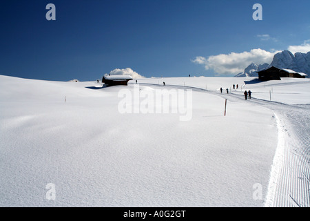 Sci di fondo sulla pista Alpe di Siusi Seiseralm plateau italiani nelle Dolomiti Alto Adige Südtirol Foto Stock