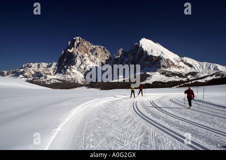Sostenuta dal Sassolungo Sassolungo sciatori su un cross country piste sull Alpe di Siusi Seiseralm altopiano delle Dolomiti italiane Foto Stock