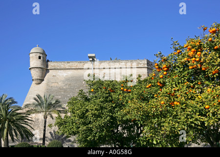 Palma de Maiorca Baluard de Sant Pere, Spagna Foto Stock