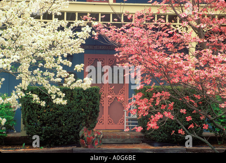 Portico anteriore con insoliti rosa porta anteriore visto attraverso la fioritura sanguinello, Savannah, Georgia USA Foto Stock