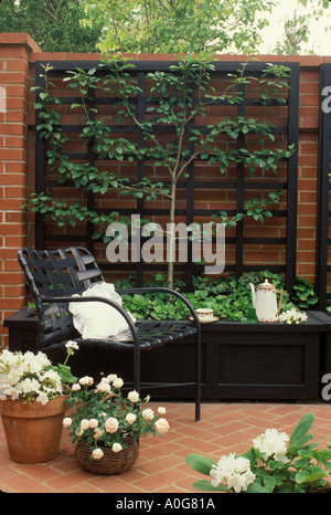 In mattoni della parete del cortile con espaliered Pear Tree e mattone patio con mobili, Midwest USA Foto Stock