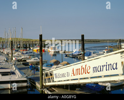 Ampio Marina, camminate, Northumberland, England, Regno Unito Foto Stock