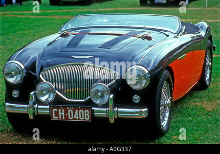 Austin Healey 100, nero e rosso, Melbourne, Australia Foto Stock