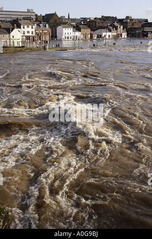 Il torrente impetuoso del Fiume Nith nel diluvio cercando di fronte alle case inondate e le imprese di assicurazione possibili rivendicazioni REGNO UNITO Foto Stock