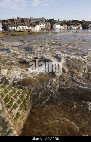 Il torrente impetuoso del Fiume Nith nel diluvio cercando di fronte alle case inondate e le imprese di assicurazione possibili rivendicazioni REGNO UNITO Foto Stock