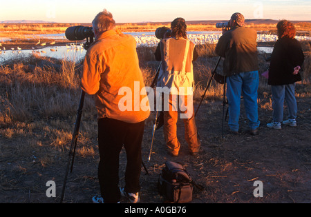 Fotografi a Bosque del Apache Wildlife Refuge nei pressi di Albuquerque nel New Mexico USA Foto Stock