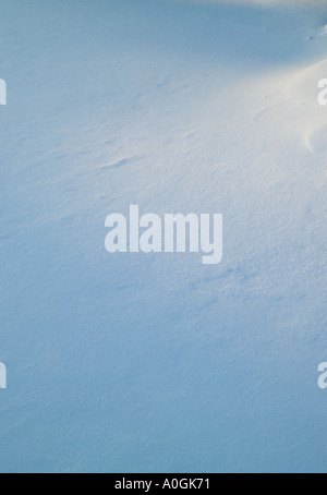 Primo piano della neve fresca a terra Foto Stock
