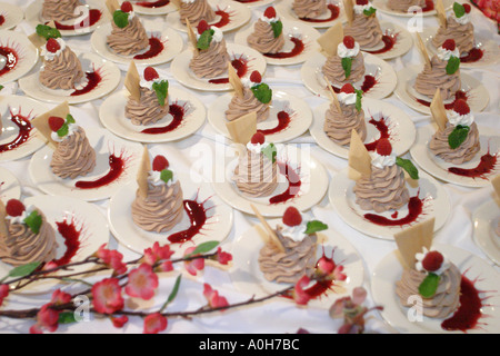 Miami Florida, Aventura, crociera con cena sul Windridge di Kathleen, crociera sul Windridge, dessert alla mousse al cioccolato, delizie, tour turistico dei visitatori Foto Stock