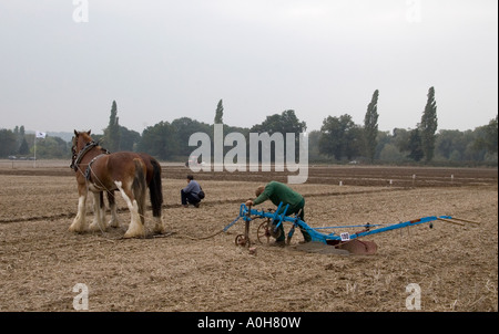 Nazionale dei Campionati di aratura 2006, Loseley Park, Surrey Foto Stock