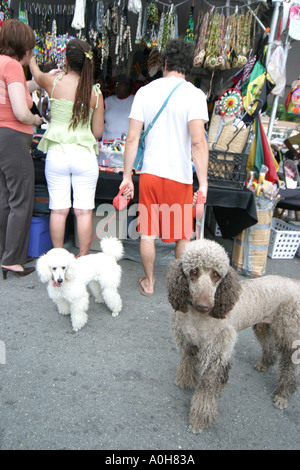 Miami Florida,Coconut Grove,Grand Avenue,Bahamas Goombay Festival,festival,celebrazione,fiera,etnico,evento,comunità,vicino,adulto,adulti,uomo maschio Foto Stock