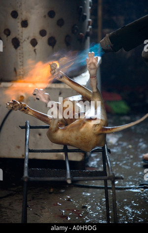 Sì, lo fanno mangiare cani in Cina! Torcia ad aria la gasatura cane carcassa in macelleria, Xinjie, Yuanyang, Yunnan, Cina Foto Stock