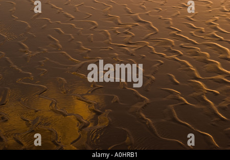 Increspature nella sabbia lasciate dalla marea sfuggente Foto Stock
