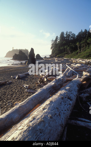 I registri di deriva e seastacks sulla spiaggia Rialto il parco nazionale di Olympic Washington Stati Uniti d'America Foto Stock