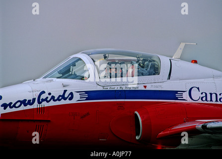 Snowbirds 5 Foto Stock