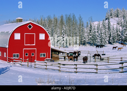 Horse Barn nella stagione invernale Foto Stock