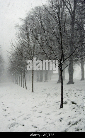 Tempesta di neve sul comune a Tunbridge Wells, Kent, Regno Unito. Foto Stock